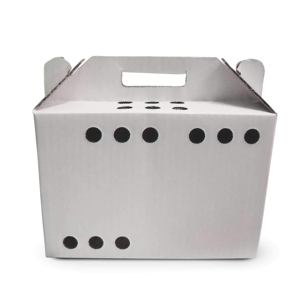 Cardboard Pet Carriers for Small Animals, Hamsters, Gerbils, Birds, Reptiles,…