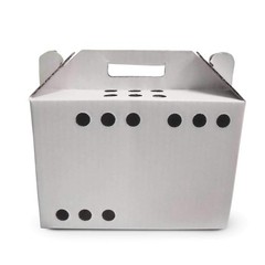 Cardboard Pet Carriers for Small Animals, Hamsters, Gerbils, Birds, Reptiles,…