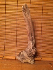 Beautiful 12″ DRIFTWOOD Piece Art Terrarium Taxidermy Aquarium Reptile DECOR