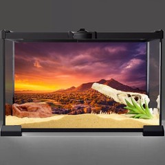 Sun & Desert Reptile Habitat Background 48x18in – Realistic Vinyl Decor