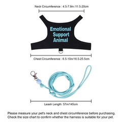 Adjustable Bearded Dragon Harness and Leash Set for Outdoor Training