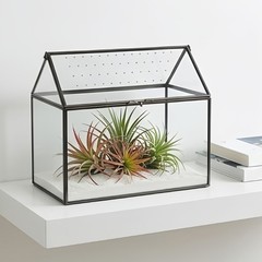 Desktop Enclosure House Container Case with Top Opening Lid for Glass Display