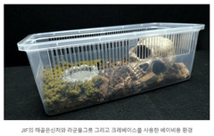 5pc Crested Gecko Stackable Cage (Small-Medium) with Lid – Transparent