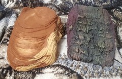 2 large Reptile Hide Aways. one rock, one log
