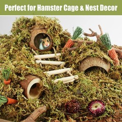 1.3 Lb Natural Sphagnum Moss Reptile Bedding Nesting Hamster Terrarium Snake