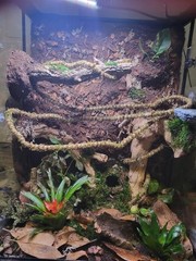 Galpagos 05346 Mossy Cave Hide 4 Inch Green Reptile Terrarium Habitat Decor