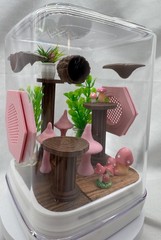 Acrylic Pink Pad Jumping Spider Terrarium – Cute Home Enclosure