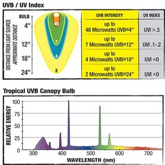 Zilla Canopy UVB UVA Bulb for Reptiles Amphibians Low Intensity 3875 in