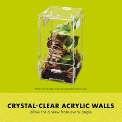 Transparent Small Pet Terrarium with Locking Latch
