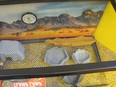 COMPLETE REPTILE TERRARIUM WITH SUPPLIES