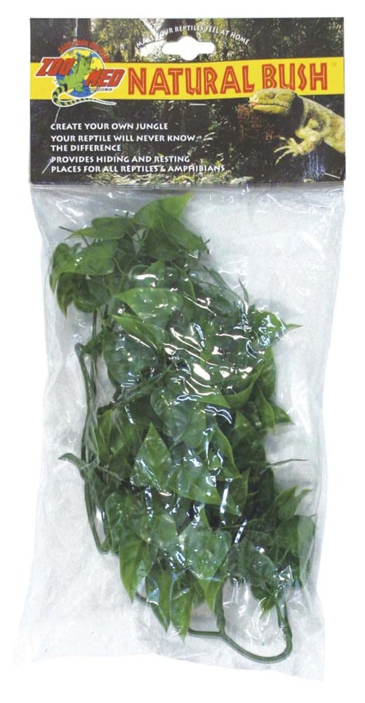 Zoo Med Natural Bush Mexican Phyllo Plants Green 1ea/14 in, SM