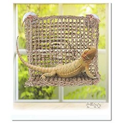 Reptology Lizard Lounger Sun Lover Basking Platform – 100% Natural Seagrass F…