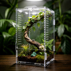 Jumping Spider Enclosure, Acrylic Terrarium Clear Ventilated Habitat