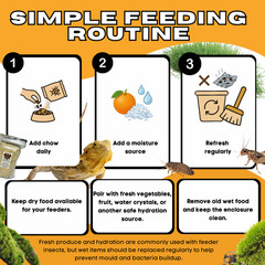 TC INSECTS Dubia Chow Premium Food for Dubia Roaches