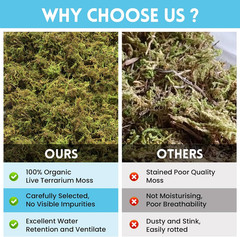 7oz Sphagnum Moss for Reptiles, Natural Terrarium Bedding Substrate
