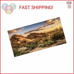 AWERT Reptile Habitat Background Blue Sky Oasis Cactus Sun and Desert Terrarium