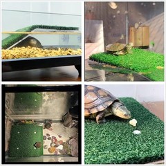 Turtle Resting Basking Platform with Artificial Grass for Tortoise and Frog