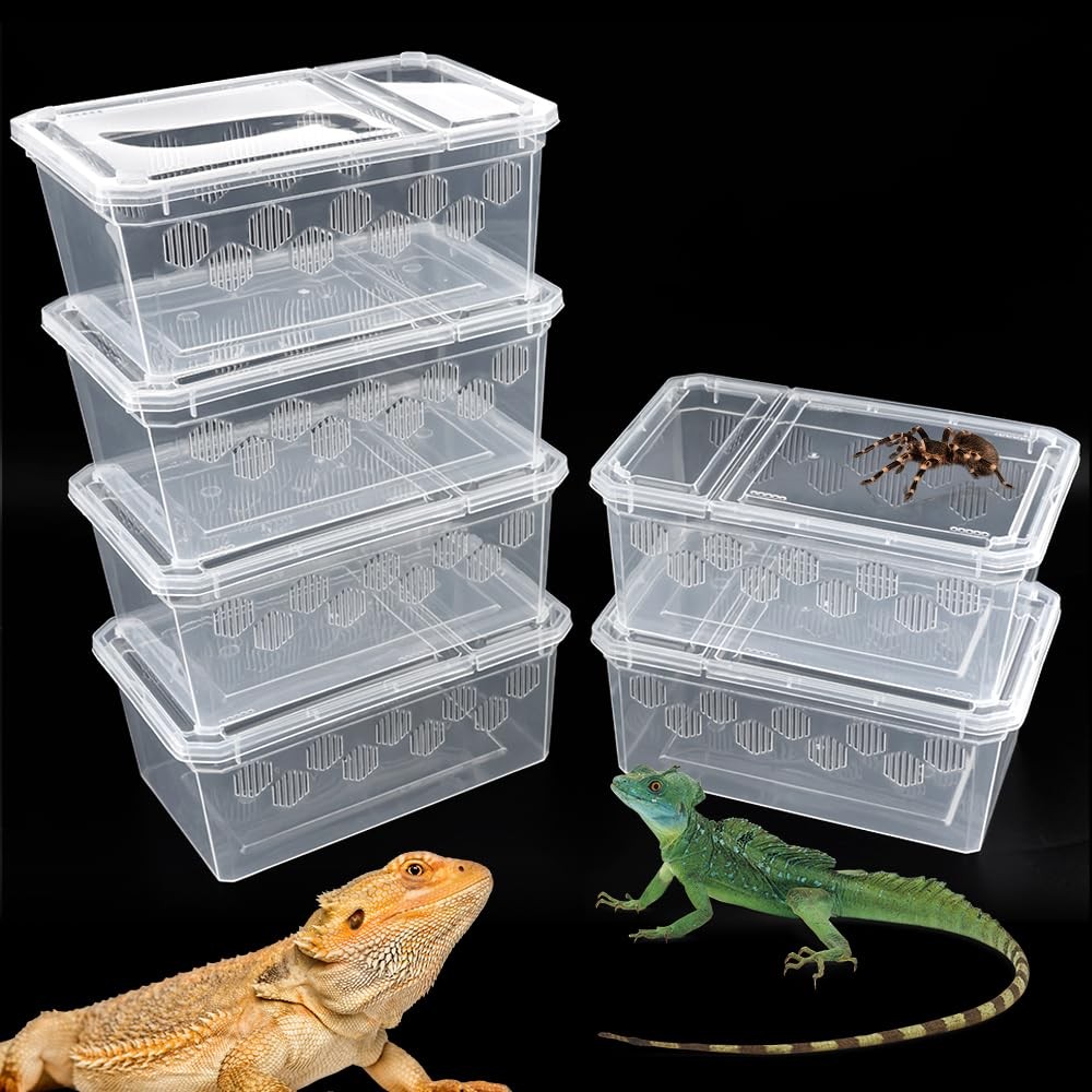 6 Pack Reptile Feeding Box Breeding Transparent color