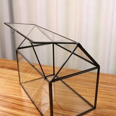 Desktop Enclosure House Container Case with Top Opening Lid for Glass Display
