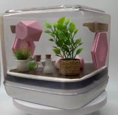 Mini Jumping Spider Enclosure – Pink Paradise Habitat for Pet Spiders