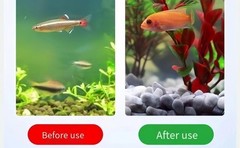 2500g 5.5lb Filter Media,bio Balls for Aquarium Filter，Pond Filter Media&