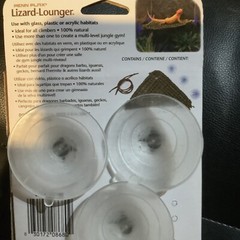 Pet Reptile Natural Corner Lounger Platform Basking & 75w Spot Lamp