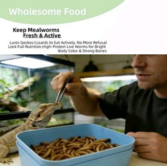 Zmiyivara Mealworm Breeding Kit, Live Feeder Worm Farm for Reptiles, blue