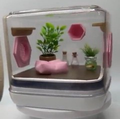 Mini Jumping Spider Enclosure – Pink Paradise Habitat for Pet Spiders