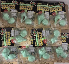 Zoo Med Glow in the Dark Hermit Crab Shells 10 Pack – Set of 2 (20 Shells Total)