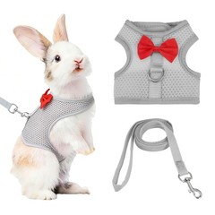 Rabbit Harness and Leash Small Pet Cute Vest Harness Leash(S Gray)