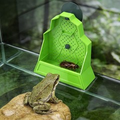 Reptile Feeding Bowl, Feeder for Reptile,Reptile Corner Feeder with Suction Cups