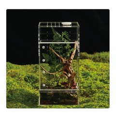 Acrylic Terrarium for Reptiles | Leak-Proof & Pre-Assembled Enclosure