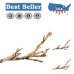 Compact Heat-Resistant Forest Branch – Perfect for Small Reptiles & Amphibians
