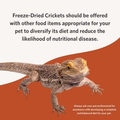 Fluker’s Freeze Dried Crickets for Reptiles, Packed with 1 Pound (Pack of 1)