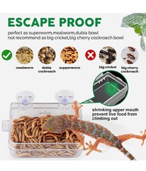 GeeKoit Anti-Missing Feeder & Reptile Nightlight Tweezer