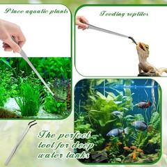 Jingmore 4 Pcs Bearded Dragon Food Bowl Set Reptile as shown in the picture