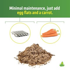 Mealworm & Superworm Wheat Bran Bedding and Food Source (5 Quarts)