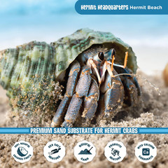 All Natural Premium Hermit Crab Sand Substrate, Sand Mixture with Coconut Fiber,