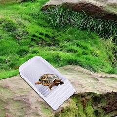 Tortoise Water Dish with Steps Ramp Durability Practical Reptile Water Bowl