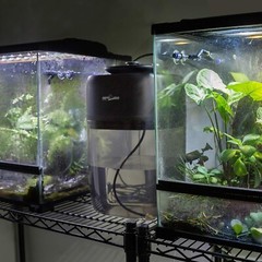 10L Reptile Mister Fogger Terrariums Humidifier Extremly High Pressure Silent…