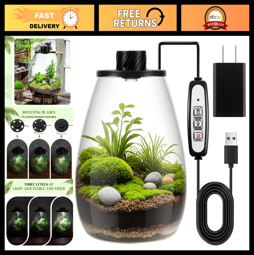 LED Glass Plant Terrarium Kit – Desktop Planter for Succulents, Moss & Mini Gard
