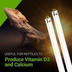2 Pack 24W-Watt T5 HO Reptile Light Desert UVA UVB 10.0 Fluorescent… Fast Ship