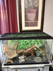 Aquarium Tank Kit Reptile Turtle Frog Lizard Snake Exo Animal Habitat