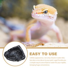 Turtle Disc Reptile Water Tray Lizard Feeding Bowl Food Small Dish