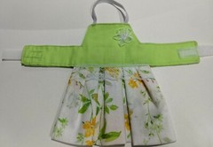 Bearded dragon Dresses MADE IN USA