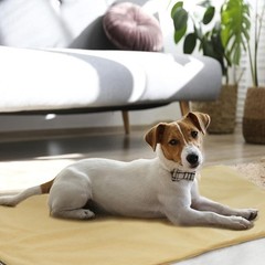 GOTOQOMO 20″x 32″ Pet Heating Pad, PVC Material Waterproof Pet Heating Pads w…