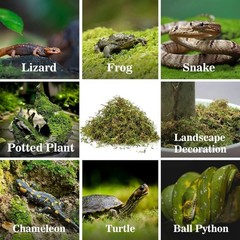 Sphagnum Moss for Reptiles -Terrarium Moss for Reptiles Peat Moss (15.8, Ounces)