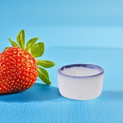 12Pcs White Ceramic Tiny Water Bowls Durable Reptile Food Dishes for Spiders