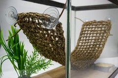 Interactive Extra Large Lizard Lounger – 100% Natural Seagrass for Reptiles