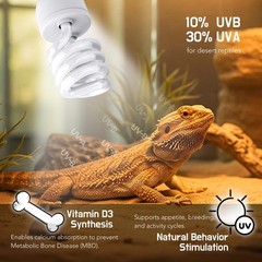 ReptiKing UVB Reptile Light, 10.0 24W, UVA 24 Watts, Uvb10.0